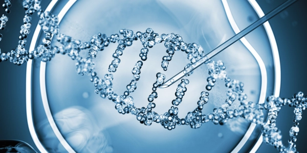 בדיקת PGD – אבחון גנטי טרום השרשה